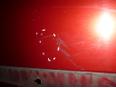 Дверь передняя левая для Renault Scenic 2003-2009