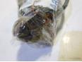 Датчик ABS задний для Mercedes Benz A140/160 W168 1997-2004;VANEO W414 2001-2006
