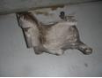 Кронштейн гидроусилителя для Mitsubishi,Peugeot,Citroen Lancer (CX,CY) 2007>;Outlander XL (CW) 2006-2012;4007 2008-2013;ASX 2010-2016;C-Crosser 2008-2013