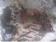 Двигатель для Renault,Opel Master II 1999-2010;Movano 1998-2010