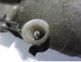 Компрессор системы кондиционирования для Volvo V70 2001-2006;850 1991-1993;850 1994-1997;S70 1997-2001;V70 1997-2001;C70 1997-2002