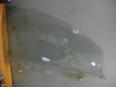 Стекло двери передней правой для Chevrolet Aveo (T250) 2005-2011;Aveo (T200) 2003-2008