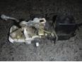 Замок двери задней левой для Honda Accord V 1996-1998