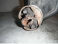 Колонка рулевая для Nissan NP300 2008>;King Cab D22 1998-2012