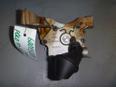 Насос масляный для VW,Seat,Skoda Polo (Sed RUS) 2011>;Ibiza V 2008>;Fabia 2007-2015;Roomster 2006-2015;Jetta 2011>;Rapid 2013>
