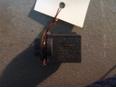 Датчик для VW,Seat,Skoda Jetta 2006-2011;Alhambra 1996-2001;Golf V Plus 2005-2014;Golf V 2003-2009;Touran 2003-2010;Octavia (A5 1Z-) 2004-2013;Passat CC 2008>;Touareg 2010>;Amarok 2010>