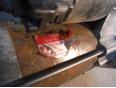 Стартер для Toyota Corolla E12 2001-2006;Avensis II 2003-2008;Avensis I 1997-2003;Corolla E11 1997-2001;Camry V40 2006-2011;Celica (ZT23#) 1999-2005;RAV 4 2000-2005;Auris (E15) 2006-2012;Corolla E15 2006-2013