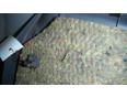 Обшивка двери багажника для Ford Focus II 2008-2011