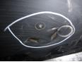 Защита антигравийная для Skoda,Seat Rapid 2013>;Toledo IV 2013>