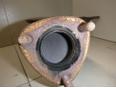 Коллектор выпускной для Skoda,VW,Seat Fabia 2007-2015;Golf V Plus 2005-2014;Ibiza V 2008>;Roomster 2006-2015;Leon (1P1) 2005-2013;Golf VI 2009-2012;Polo (HB) 2009>