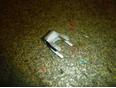 Кронштейн форсунки A180/200/250 W176 2012>;W216 coupe 2006-2014 Кронштейн форсунки A180/200/250 W176 2012>;W216 coupe 2006-2014
