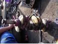 Коленвал для Nissan Almera N16 2000-2006;Primera WP11E 1998-2001;Primera P11E 1996-2002;Almera Tino 2000-2006;Primera P12E 2002-2007