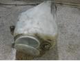 Бачок омывателя лобового стекла для Mercedes Benz W124 1984-1993;W124 E-Klasse 1993-1995