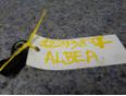 Датчик детонации Albea 2002-2012