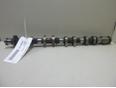 Распредвал выпускной Avensis II 2003-2008;Avensis I 1997-2003;Avensis Verso (M20) 2001-2009;CorollaVerso 2001-2004;Corolla E11 1997-2001;RAV 4 2000-2005;Corolla E12 2001-2007;CorollaVerso 2004-2009 Распредвал выпускной Avensis II 2003-2008;Avensis I 1997-2003;Avensis Verso (M20) 2001-2009;CorollaVerso 2001-2004;Corolla E11 1997-2001;RAV 4 2000-2005;Corolla E12 2001-2007;CorollaVerso 2004-2009