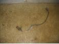 Датчик положения коленвала Corolla E12 2001-2007;Avensis II 2003-2008;Avensis I 1997-2003;CorollaVerso 2001-2004;MR II ZZW30 2000-2007;Corolla E11 1997-2001;Celica (ZT23#) 1999-2005;RAV 4 2000-2005;Auris (E15) 2006-2012 Датчик положения коленвала Corolla E12 2001-2007;Avensis II 2003-2008;Avensis I 1997-2003;CorollaVerso 2001-2004;MR II ZZW30 2000-2007;Corolla E11 1997-2001;Celica (ZT23#) 1999-2005;RAV 4 2000-2005;Auris (E15) 2006-2012